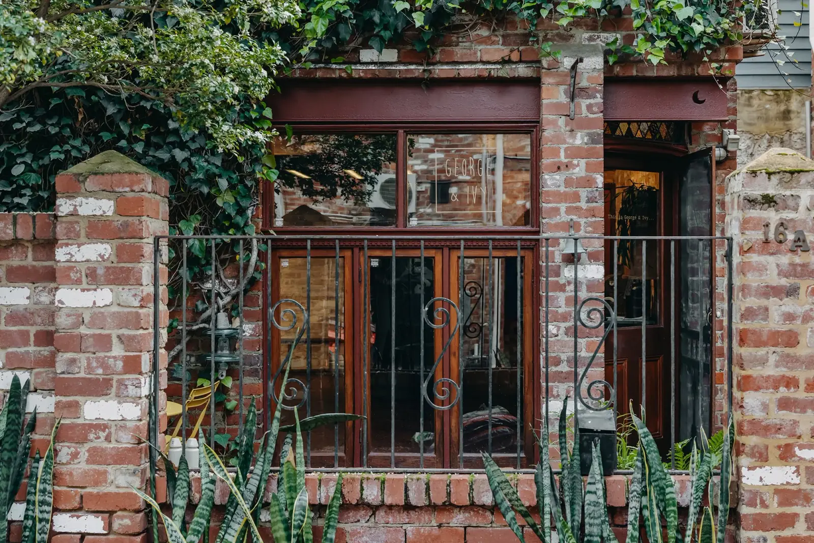 The George & Ivy Central Fremantle shopfront at 16A Bannister Street: an ivy covered red brick heritage facade with the George & Ivy sign in the window and snake plants along the front wall